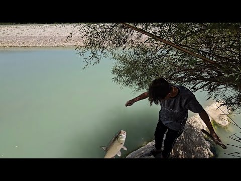 Видео: Ловля рыбы на крючок с двумя разными наживками: лягушкой и тестом | Сравнение и руководство