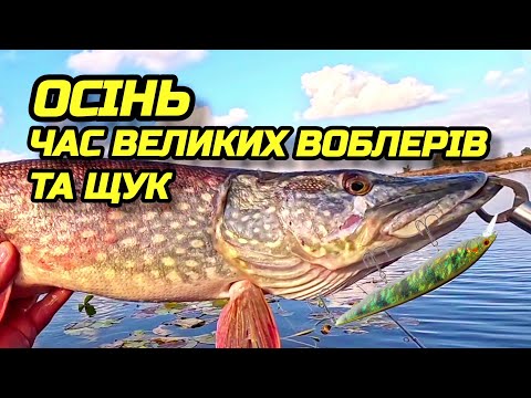 Видео: ✅️📣🔥ХОЧЕШ ПІЙМАТЬ ГАРНУ ЩУКУ, СТАВ ЦЕЙ ВОБЛЕР🔥📣☝️#fishing #fish #риболовля #bassfishing #рибалка