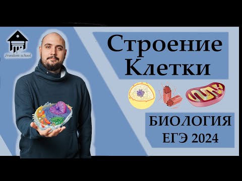 Видео: Строение клетки - ОРГАНОИДЫ для ЕГЭ |ЕГЭ БИОЛОГИЯ 2024|Freedom|