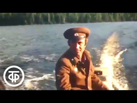 Видео: Саяны. Документальный фильм (1981)