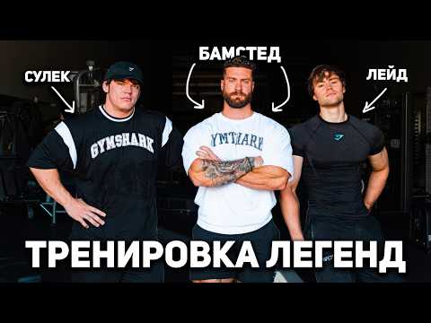 Видео: КРИС БАМСТЕД, СЭМ СУЛЕК, ДЕВИД ЛЕЙД! СОВМЕСТНАЯ ТРЕНИРОВКА