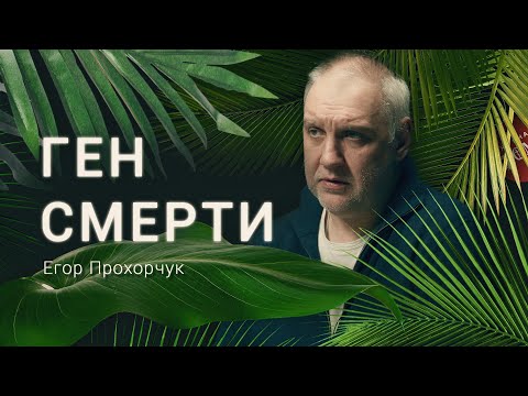 Видео: Существует ли ГЕН СМЕРТИ? Генетик Егор Прохорчук /«Деревня Великановка»