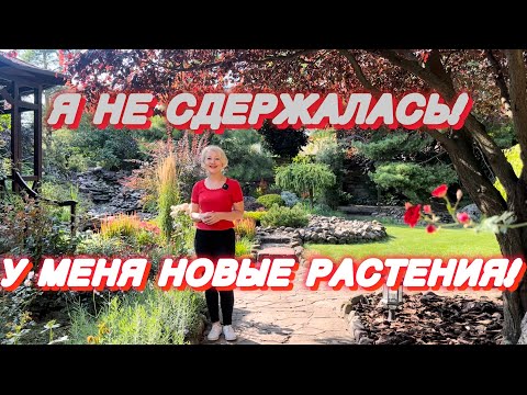 Видео: Наконец несколько новых посадок!новые растения!