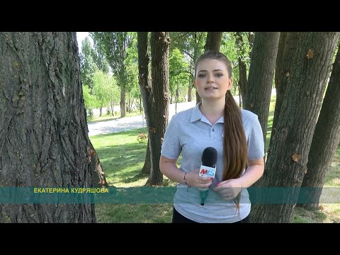 Видео: Чем живёт Ворошиловский район Волгограда