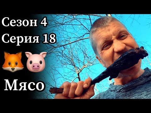 Видео: Охота на гуся с лабрадором, а также на белку и енота полоскуна с лайками - всё в один день!