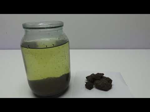 Видео: ДАФНИЯ - если УЕХАЛИ. КОНСКИЙ навоз - ДАФНИЯ.DAPHNIA