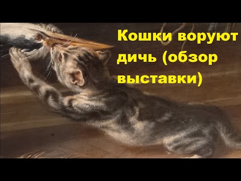 Видео: Кошки воруют дичь (обзор выставки)