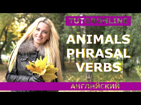 Видео: Английский | Animals Phrasal Verbs