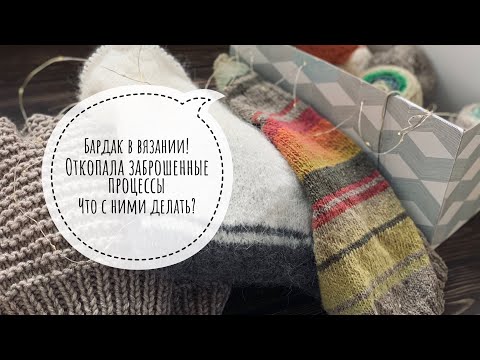 Видео: Мои долговязы | Распустить или закончить ?