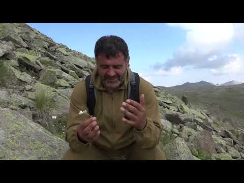 Видео: Кельское озеро.