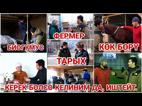 Видео: Балбандар байырлаган Ылай-Талаа. Менин айылым.