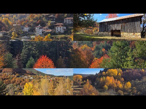 Видео: Смилян 35К - Малко познатите Родопи / 01.11.2024 г.