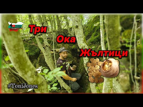 Видео: По хайдушки опис намерих гърне с три ока жълтици!!!
