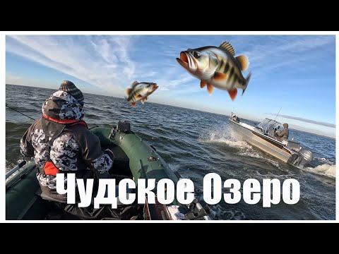 Видео: Эстония Чудское озеро Kalmaküla Мы сегодня не одни!!! Гиганты со дна озера! Изучаем, пробуем, ловим!