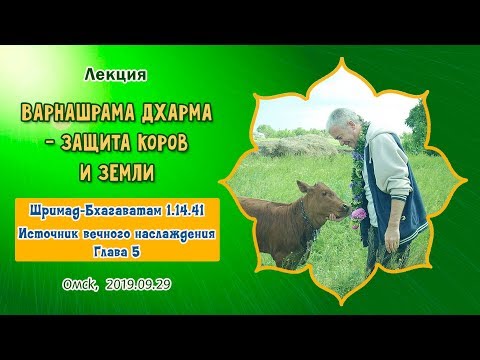 Видео: 29/09/2019, Варнашрама дхарма, ШБ 1.14.41 - Чайтанья Чандра Чаран Прабху, Омск