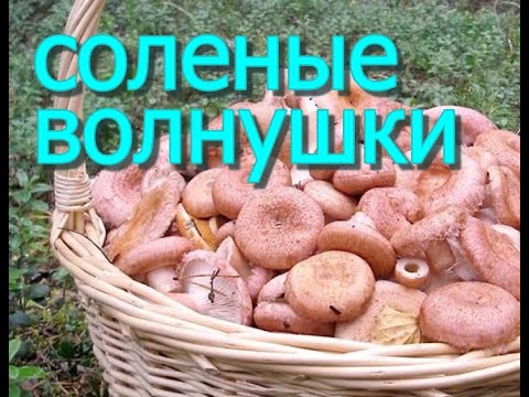 Видео: ВОЛНУШКИ ХОЛОДНЫМ СПОСОБОМ // простой и быстрый рецепт// очень вкусный/заготовка на зиму