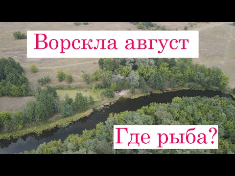 Видео: ВОРСКЛА август 2021. Где рыба? Подводная охота, попытка.