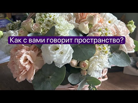 Видео: Когда ты счастлив сам, счастьем поделись с другим ❤️🙌🏻🌸