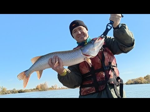 Видео: Рыбалка с ночевкой на Иртыше (сентябрь)