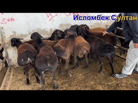 Видео: Молбозори Н-Дусти Нархи чуваланг кучкор барра совлук 2025 г.