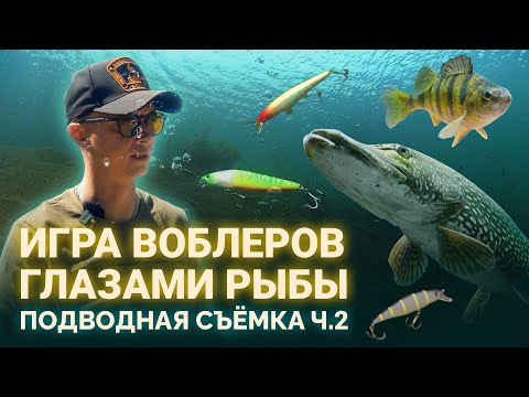 Видео: ИГРА ВОБЛЕРОВ глазами рыбы. Подводная съемка. Продолжение.