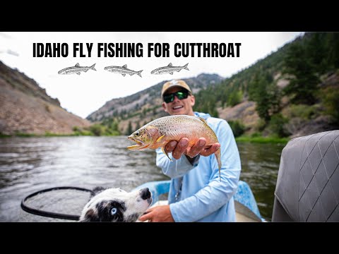 Видео: ЛОВЛЯ РЫБЫ НАХЛЫСТОМ В АЙДАХО CUTTHROAT — сплав по одной из самых красивых рек штата