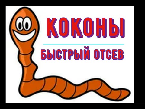 Видео: Просеивание коконов