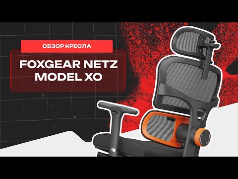 Видео: ⚡️ Обзор на эргономичное компьютерное кресло FoxGear NETZ Model XO