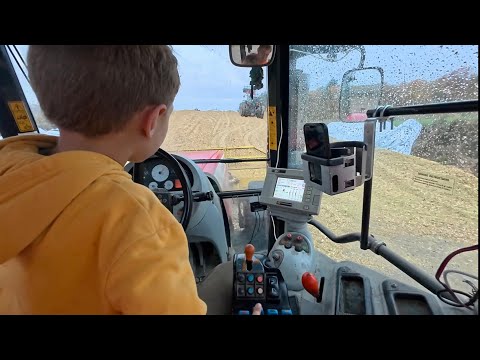 Видео: Генри теперь толкает кукурузные стерни лезвием.