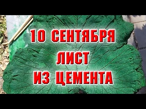 Видео: 10 сентября.  Сделала лист из цемента