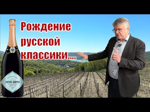 Видео: Абрау-Дюрсо. Виноградник, винодельня, дегустация