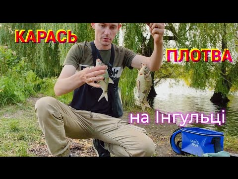 Видео: Карась, плотва і....гачок у палець! Рибалка на річці Інгулець