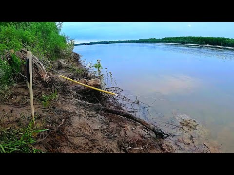 Видео: ПОДОШЁЛ к РЕЗИНКЕ, а ПАЛКА ВЗЛЕТАЕТ! КЛЁВ СУДАКА на РЕЗИНКУ!Часть2