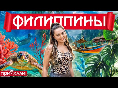 Видео: ФИЛИППИНЫ | Дома на кладбище, плавание с акулами, шоколадные холмы | Приехали!