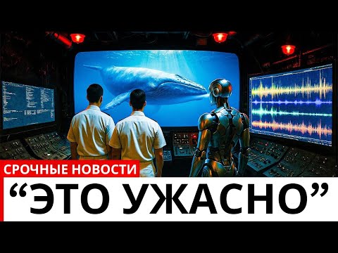 Видео: Учёные Расшифровали Язык Китoв с Помощью ИИ… И Услышанное Шокировало