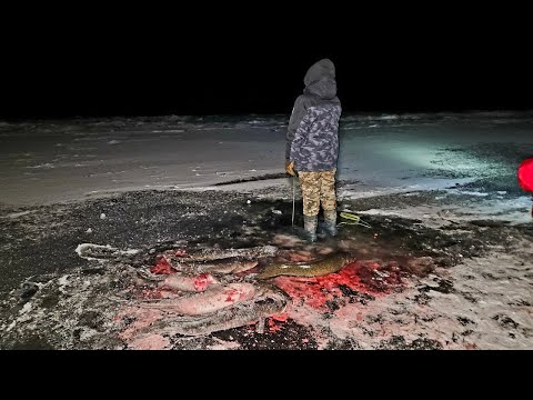 Видео: ЭТОТ РЫБАЧЕК НАЛОВИЛ ГОРУ НАЛИМА ПЕРВЫЙ ЛЁД 2025