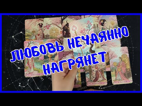 Видео: Таро Для Мужчин Сегодня 💙БУДЕТ ЛИ НОВАЯ ЛЮБОВЬ❗️Tarot❗️Вика Таро