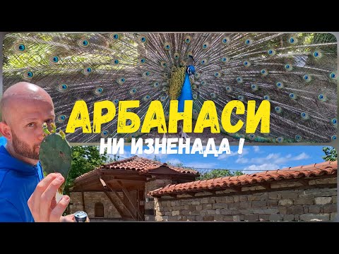 Видео: 📍🇧🇬 Разходка из Арбанаси – Спокойствие, красота и... пауни?!Nails, Trips & DIY Stanislava Nikolova