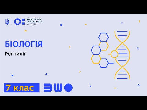 Видео: 7 клас. Біологія. Рептилії