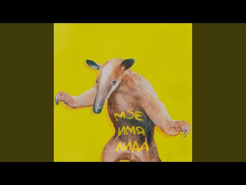 Видео: Лиза