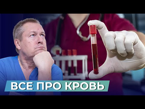 Видео: Почему КРОВОСНАБЖЕНИЕ - ключевой фактор для ВЫЖИВАНИЯ ОРГАНИЗМА?