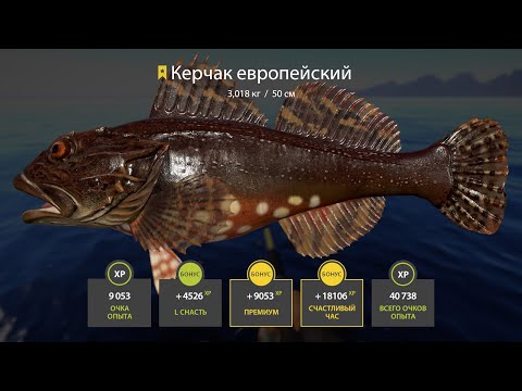 Видео: 🐠ЛУЧШИЙ ФАРМ НА НОРВЕЖСКОМ МОРЕ🐠СТРИМ РУССКАЯ РЫБАЛКА 4🐠РОЗЫГРЫШИ РУЛЕТОК