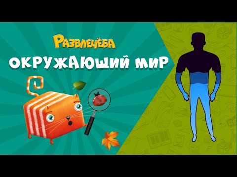 Видео: Развлечёба. Что будет, если...перестать пить воду