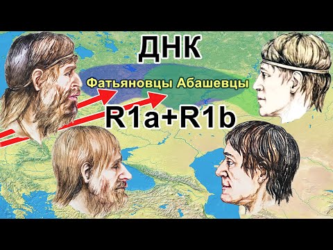 Видео: ДНК носителей фатьяновской и абашевской культур. Миграции на Русской равнине в бронзовом веке