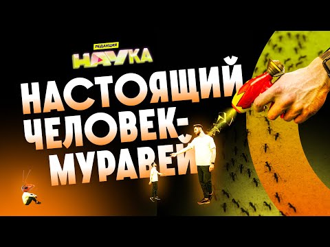 Видео: ЧТО БУДЕТ ЕСЛИ УМЕНЬШИТЬ ЧЕЛОВЕКА? / Редакция.Наука