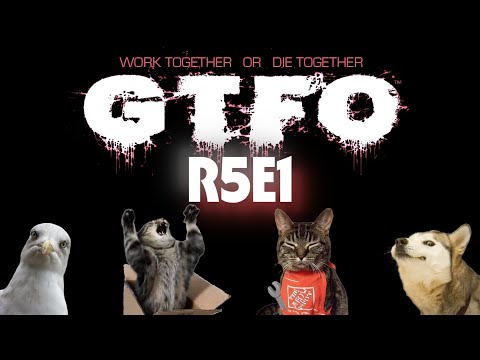 Видео: GTFO R5E1 - Подбор ролей | Стрим