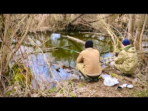 Видео: Рибалка на МІКРО РІЧЦІ! КАРАСЬ АКТИВНИЙ!