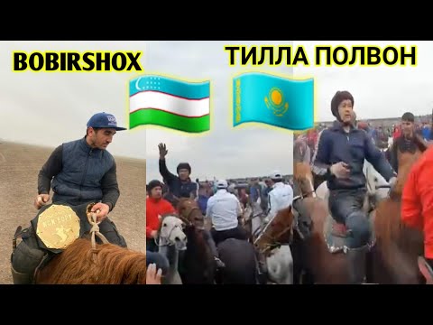 Видео: Qazag'stondan Tilla polvon 2 tuya 5 yuz mingga soldi, Казахстана Тила полвон