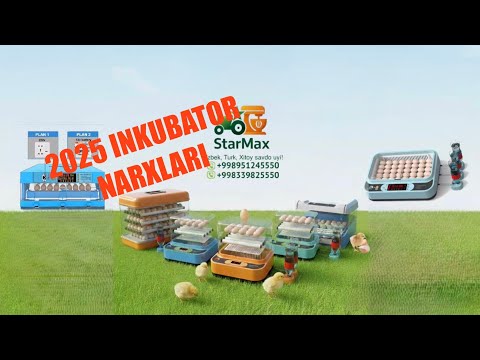 Видео: Инкубатор арзон нархларда  2025 #инкубатор  #inkubator 