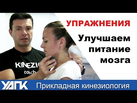 Видео: УПРАЖНЕНИЯ. Улучшаем питание мозга . 2 простые техники